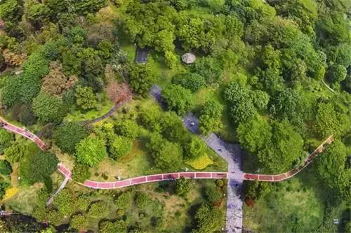 俯瞰广州最美的视角,上帝的视角看地球简直美爆了