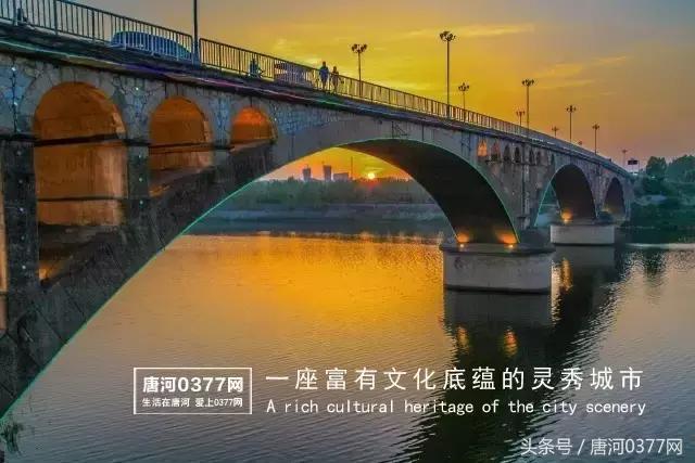 唐河，你就是一个P？