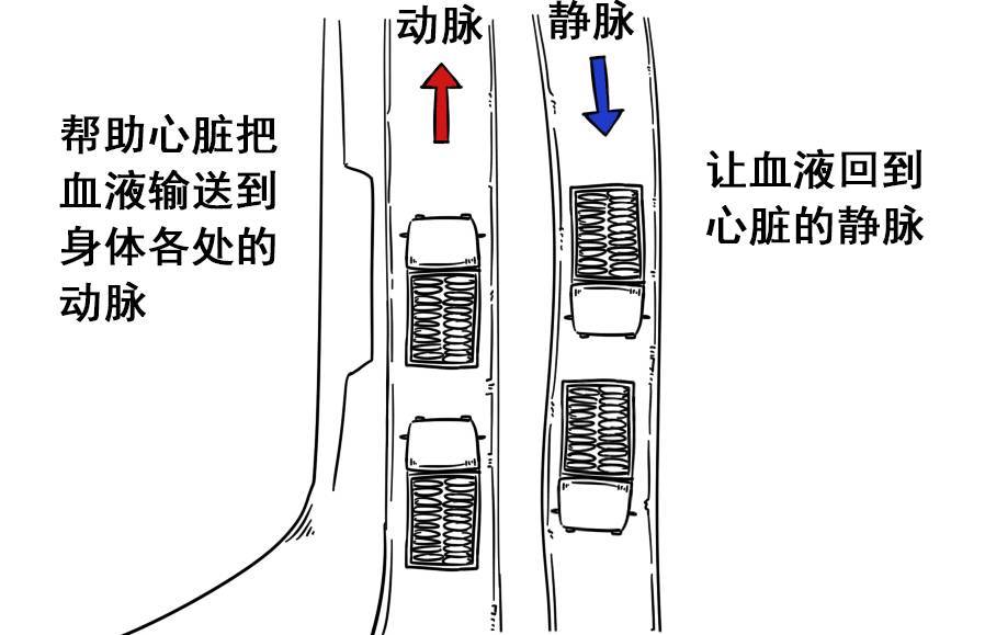 种草莓的几个基本步骤,怎么种草莓才最安全