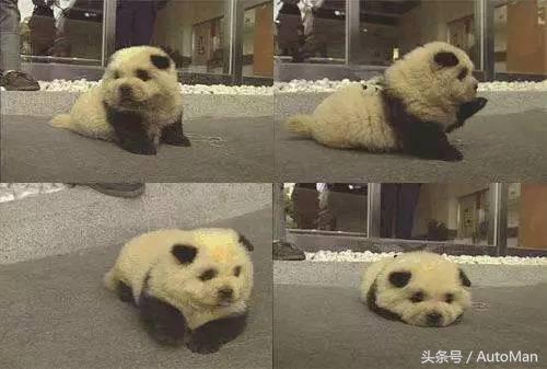 关于车险构成,关于车险的问题视频