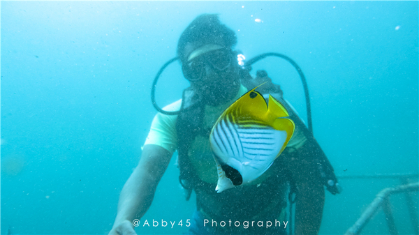 到巴厘岛的感受,到巴厘岛后怎么去蓝梦岛