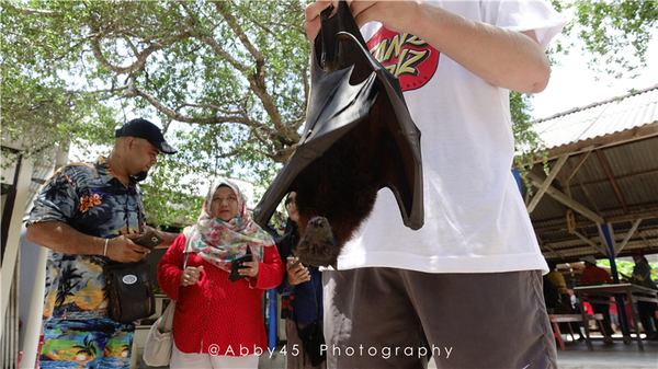到巴厘岛的感受,到巴厘岛后怎么去蓝梦岛