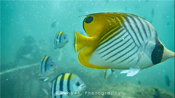 到巴厘岛的感受,到巴厘岛后怎么去蓝梦岛
