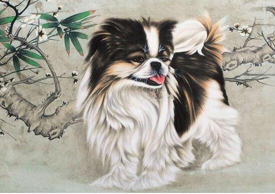 哪两个生肖配婚合适呢,婚后争吵不断的生肖配对