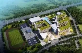 神逻辑思维,神逻辑是什么