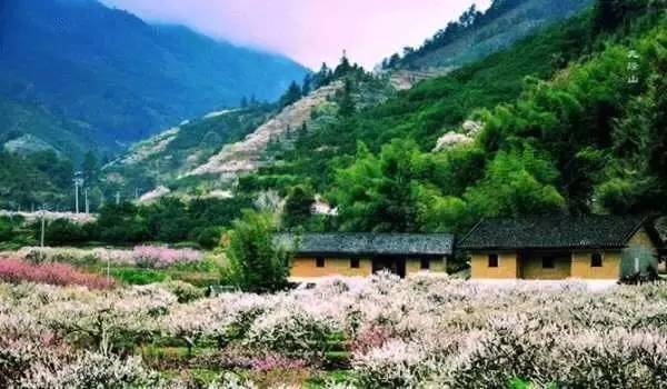 九峰山摄影图片,九峰花海摄影