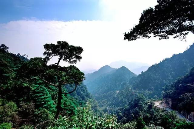 九峰山摄影图片,九峰花海摄影