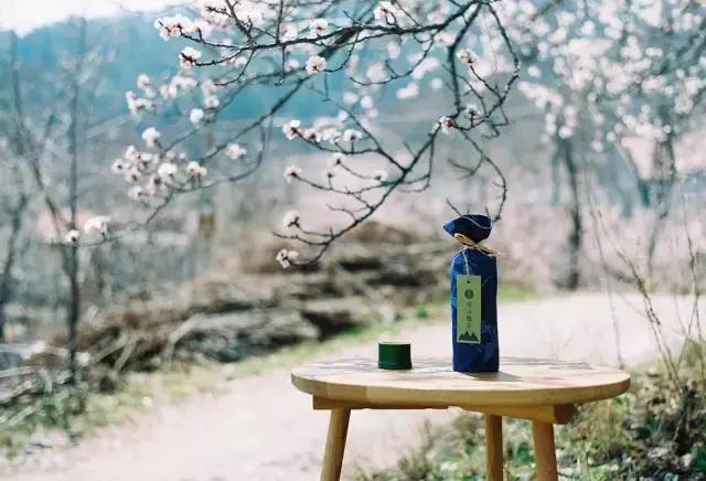 喝茶养生成为年轻人的时尚生活,喝茶成为时尚