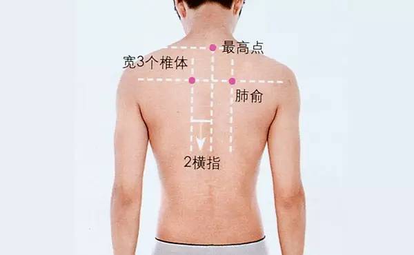 张学友也受鼻炎困扰，到底还有什么好办法？为什么不试这个！