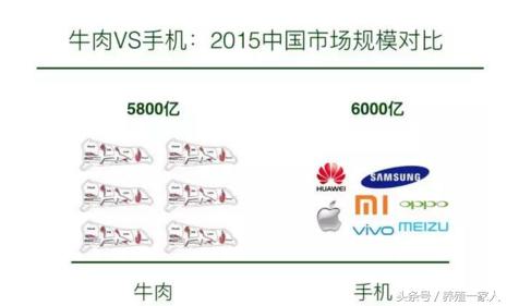 全国进口牛肉市场一览表,牛肉现在市场多少钱一斤