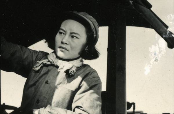 每日花语：3月22日锦葵-同日之星张梓琳（图）