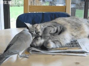 大爷！求你出山吧！中国足球还是得指着*江老**湖啊