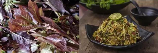 泼水节云南德宏游客视角,德宏泼水节孔雀舞申报吉尼斯纪录