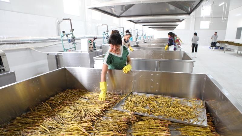 在农村赚钱的方法有哪些,农村挣钱快的门路有什么