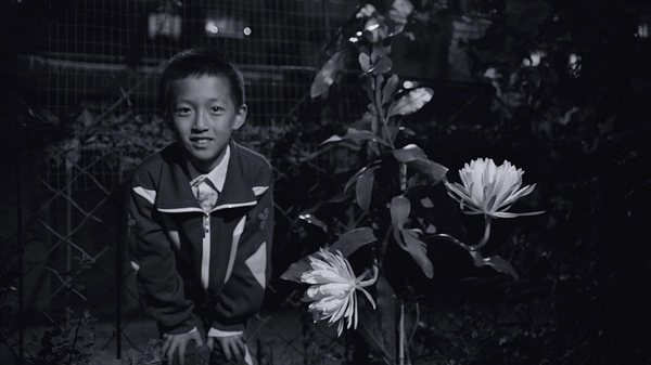 八月蜕变图片,八月复刻原神