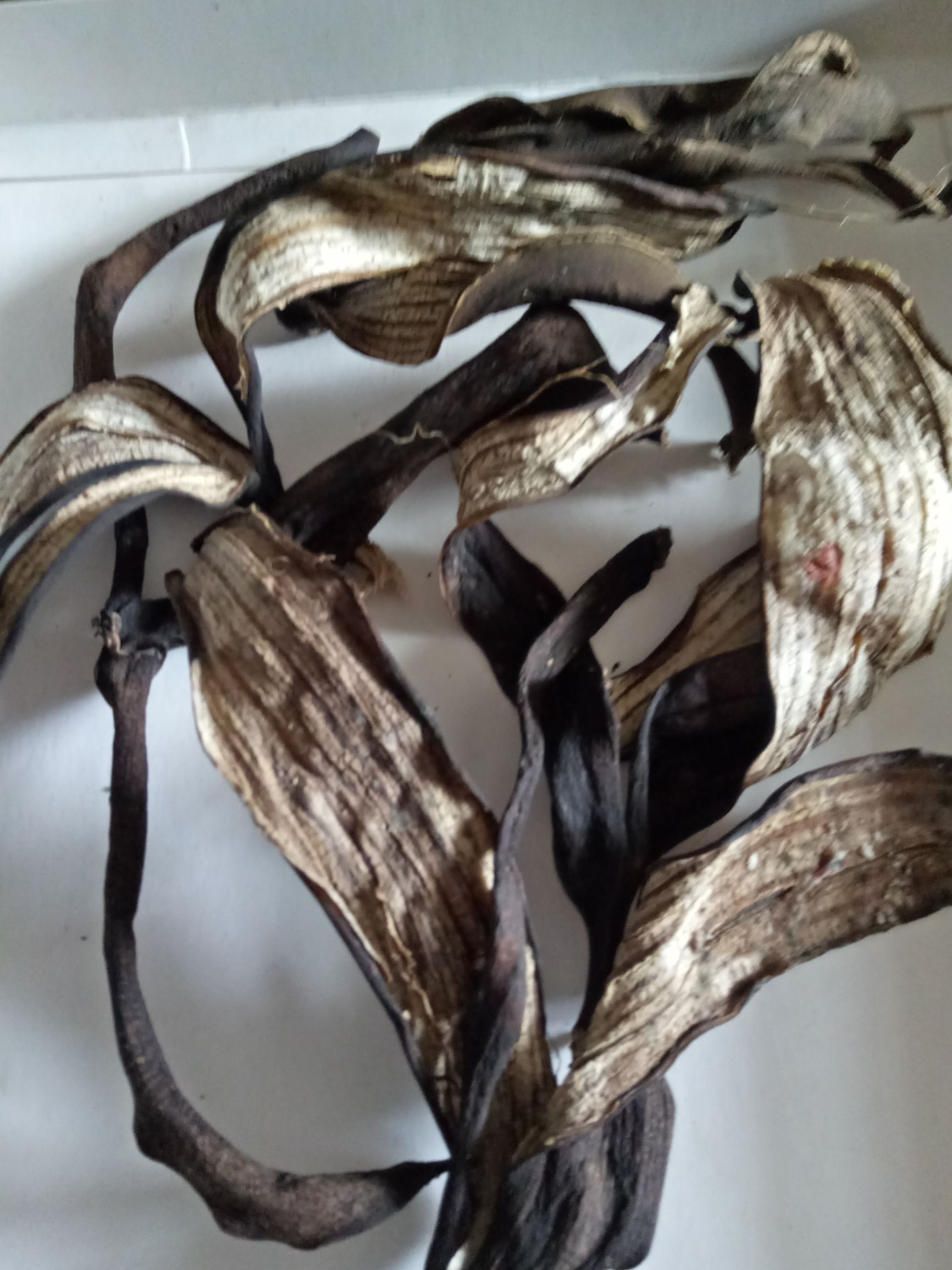 香蕉皮治疗口腔溃疡如何用,橘子皮治口腔溃疡怎么做