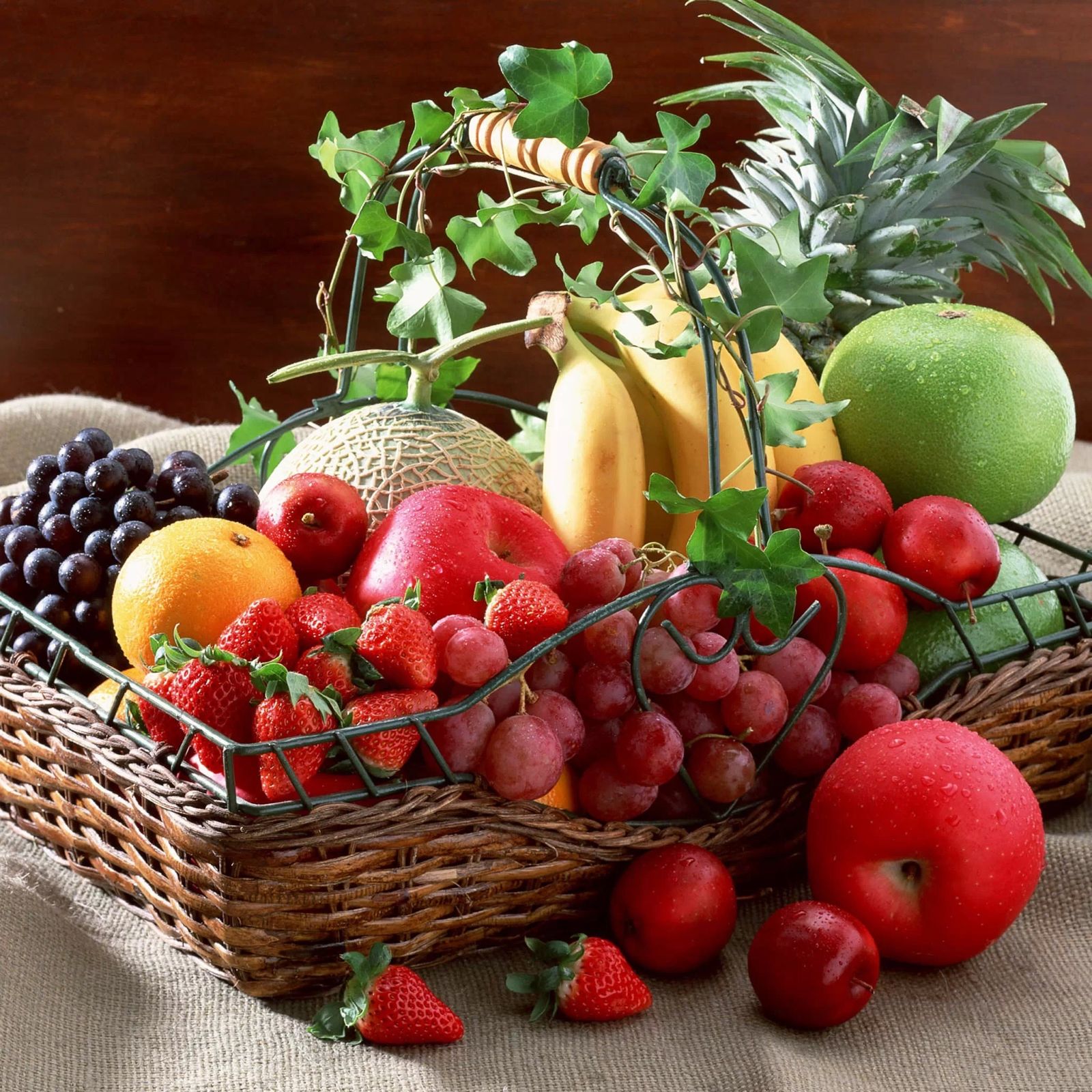 《家庭医生》饮食偏方治肛裂