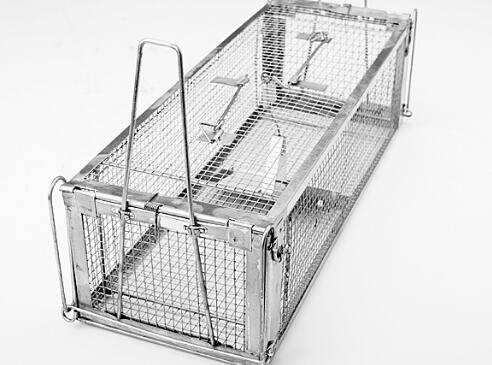 超市怎么抓老鼠最有效室内,如何抓老鼠最有效方法