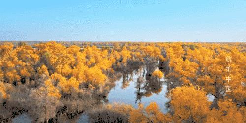 俯瞰广州最美的视角,上帝的视角看地球简直美爆了