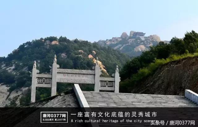 唐河，你就是一个P？