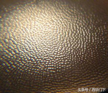 犀角雕怎么辨别真假,真假犀角的比重