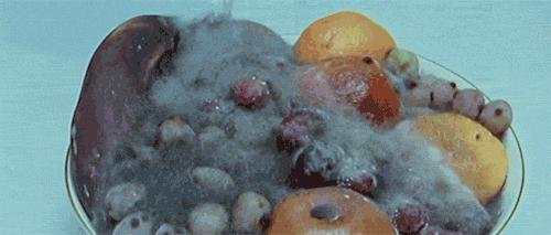 冲的奶粉喝不完可以做什么,冲的奶粉没吃完过会能继续吃吗