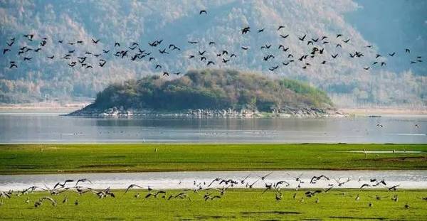 无锡出发安徽旅游攻略自驾游,安徽旅游攻略最全最好的线路