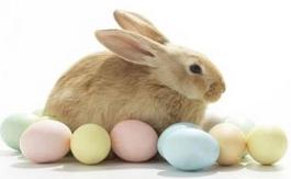 吃鸡蛋要注意的事,吃了鸡蛋之后注意事项