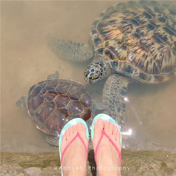 到巴厘岛的感受,到巴厘岛后怎么去蓝梦岛