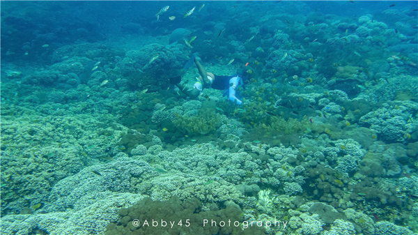 到巴厘岛的感受,到巴厘岛后怎么去蓝梦岛
