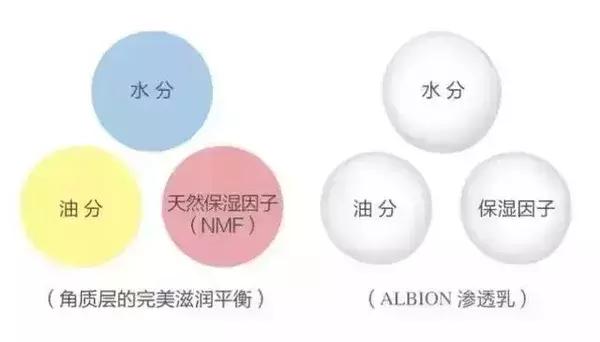 妍丽家的身体乳有哪些,妍丽奥尔滨为啥便宜