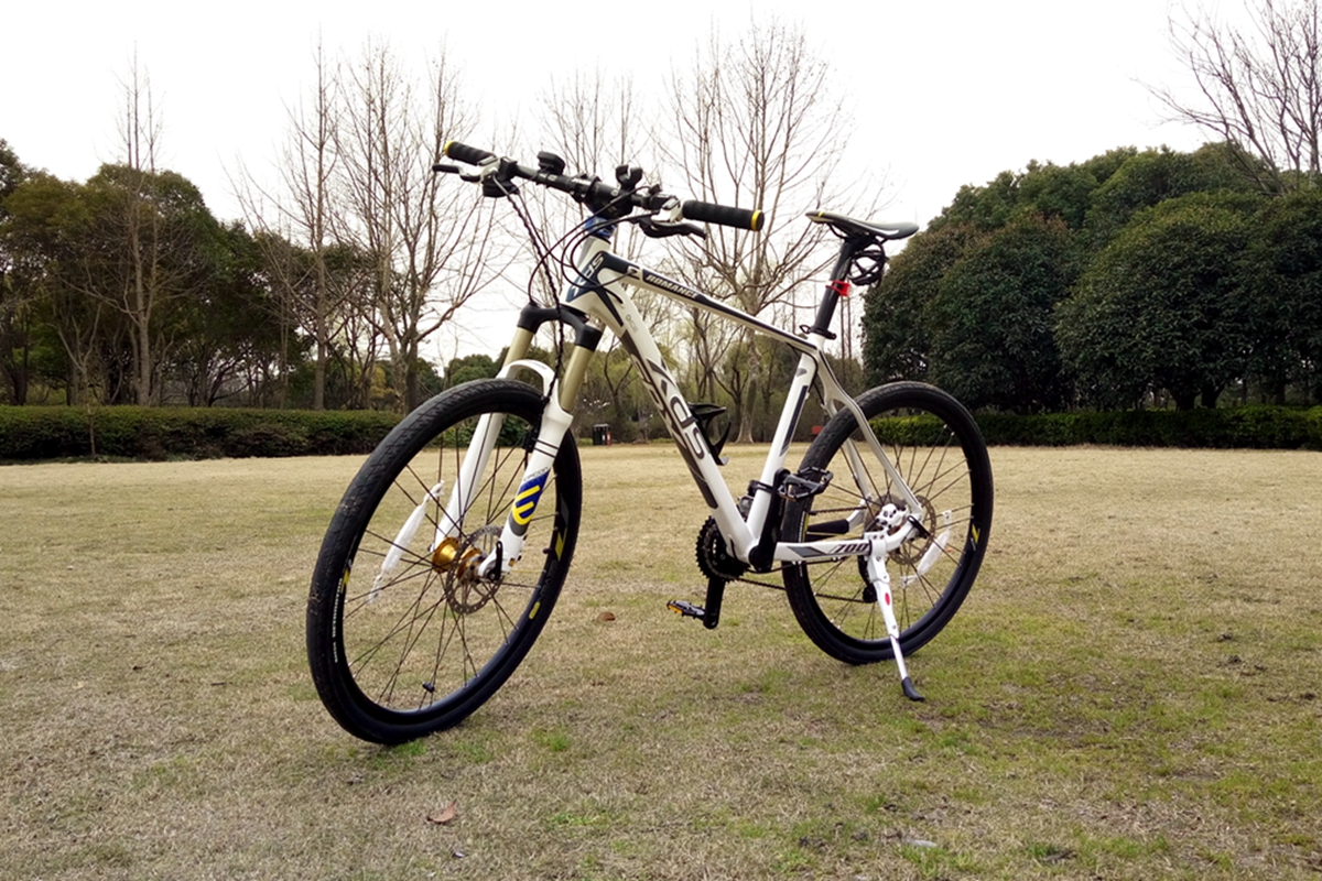 让x(叉)d(得)s(爽)带我飞简评喜德盛传奇700