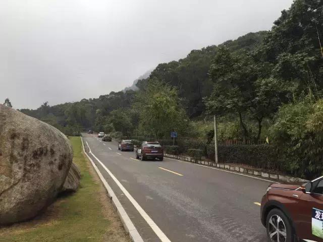 静若处子动如脱兔完整版,静若处子动如脱兔的感悟