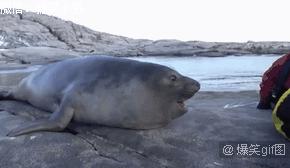 大爷！求你出山吧！中国足球还是得指着*江老**湖啊