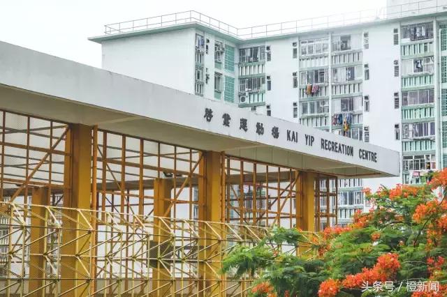 两个篮球狂人打遍香港街场，这些场子真是无奇不有！