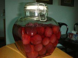 如何酿酒杨梅果酒,果酒杨梅酒制作方法