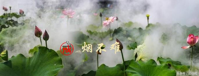 坚决戒烟图片,坚决戒烟的方法