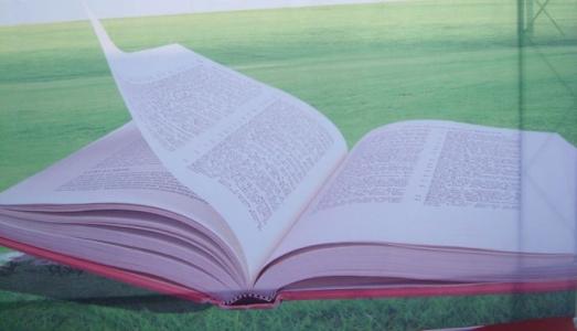 一件小事阅读答案,阅读不是一件小事