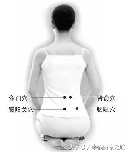 肾俞和哪个穴治腰痛,肾俞穴和腰阳关的穴位图