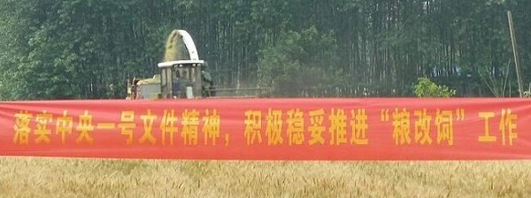 在农村赚钱的方法有哪些,农村挣钱快的门路有什么