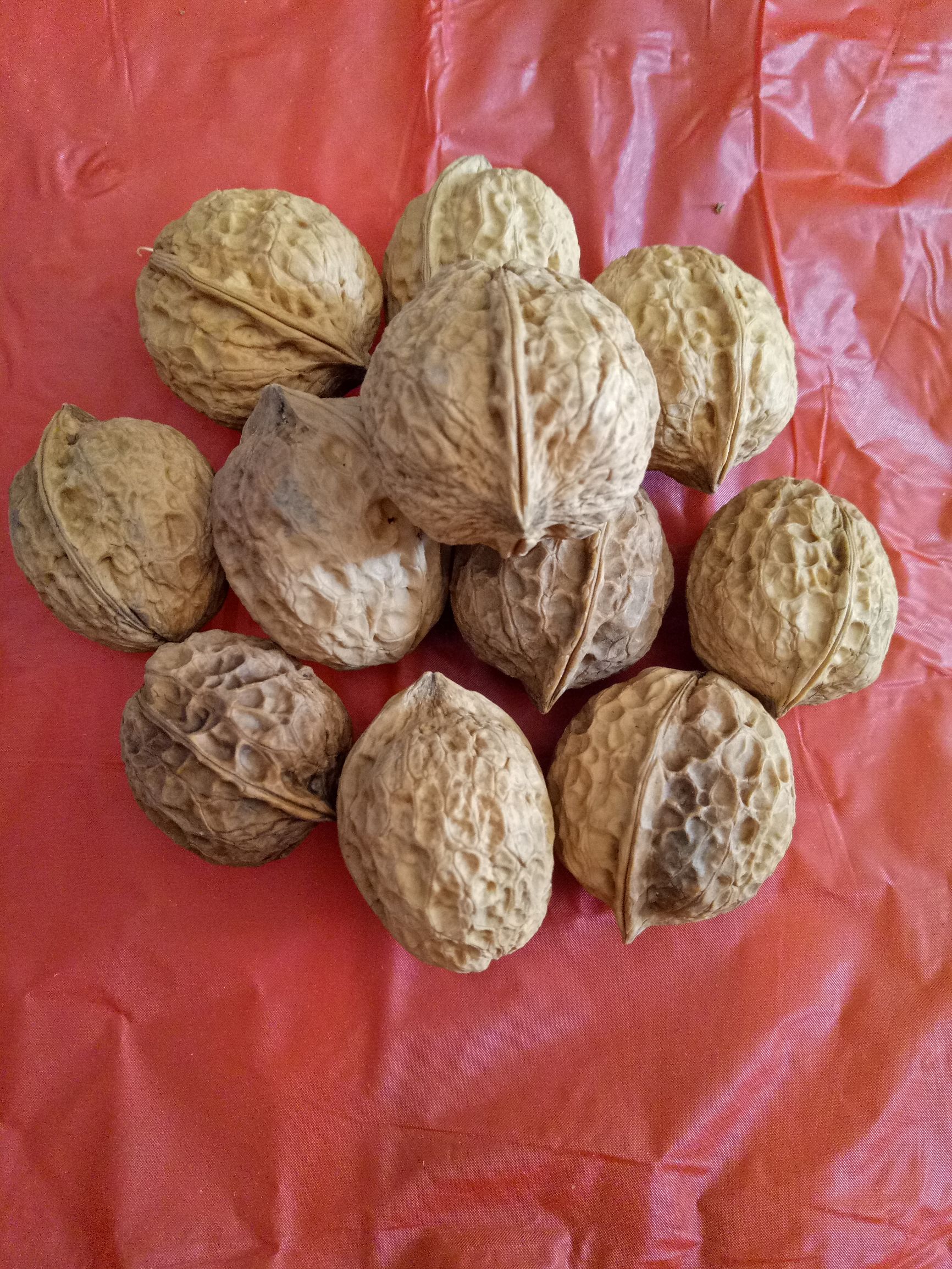 香蕉皮治疗口腔溃疡如何用,橘子皮治口腔溃疡怎么做