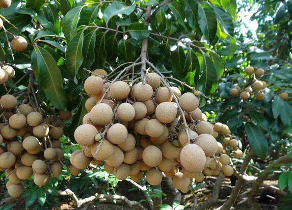 缺一不可！泉州特产大全，快收藏吧！