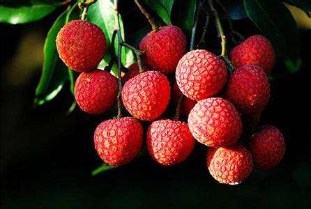 缺一不可！泉州特产大全，快收藏吧！