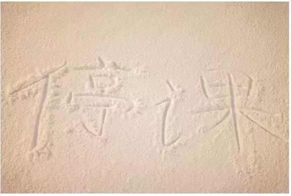 在伊利诺伊大学香槟分校,UIUC就读是怎样一番体验?