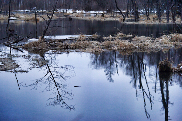 冬日的浪漫游山玩水泡温泉,又可以看雪又可以泡温泉的地方