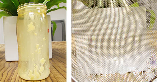 金星妈妈咪呀总决赛,金星妈妈咪呀被表白