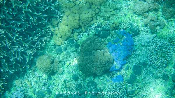 到巴厘岛的感受,到巴厘岛后怎么去蓝梦岛