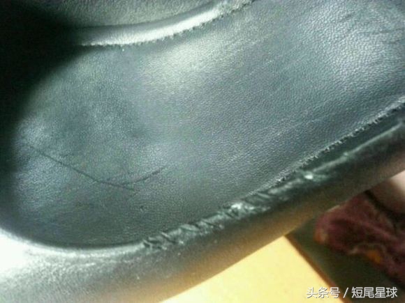 母兔子会咬数据线么,兔子喜欢咬主人是怎么回事