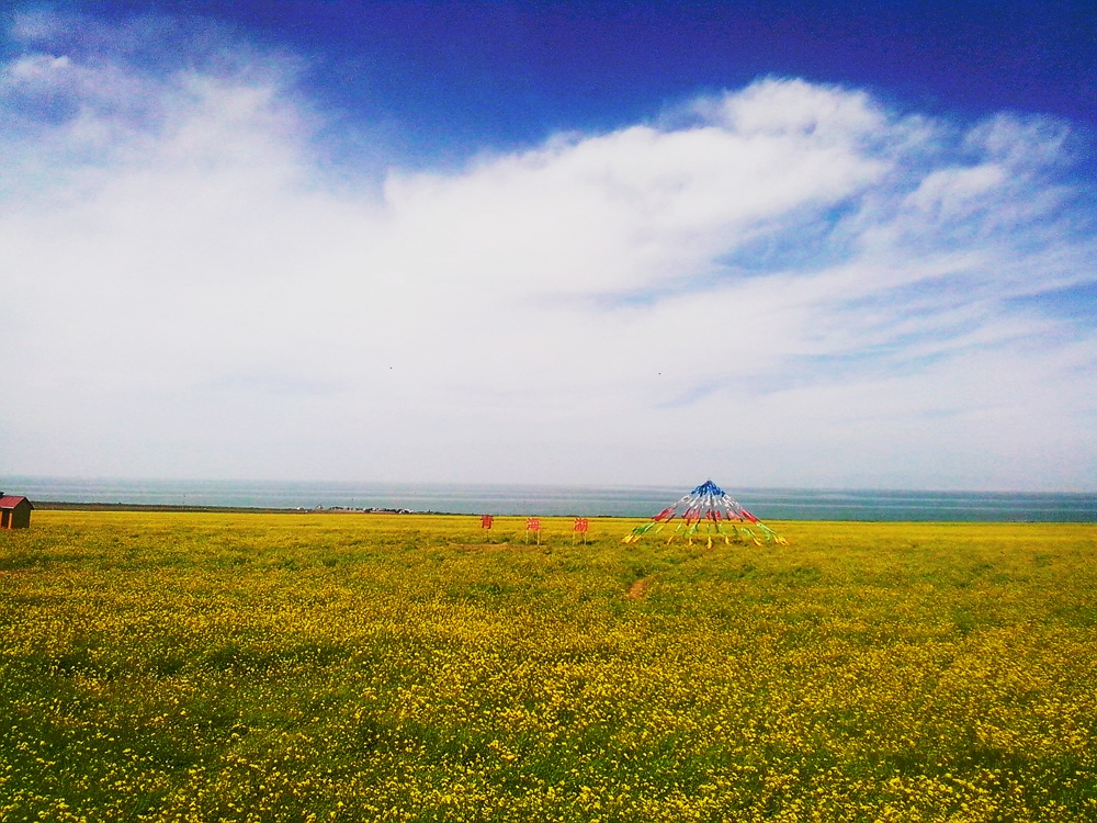 让x(叉)d(得)s(爽)带我飞简评喜德盛传奇700