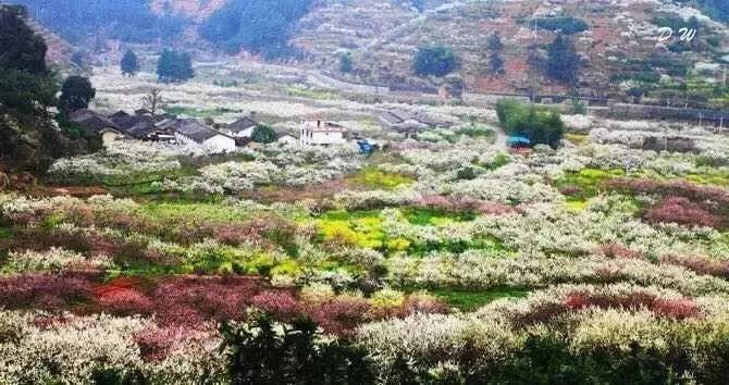 九峰山摄影图片,九峰花海摄影